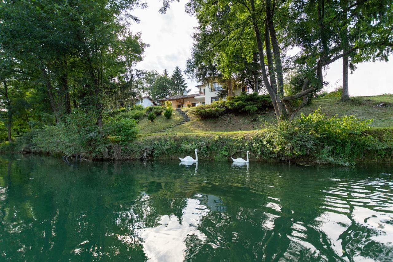 Pampas Apartments Mreznica ドゥガ・レサ エクステリア 写真